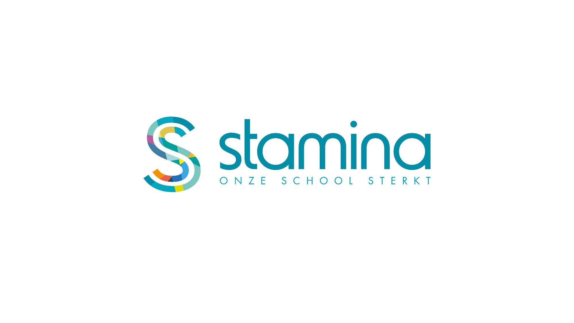 logo stamina